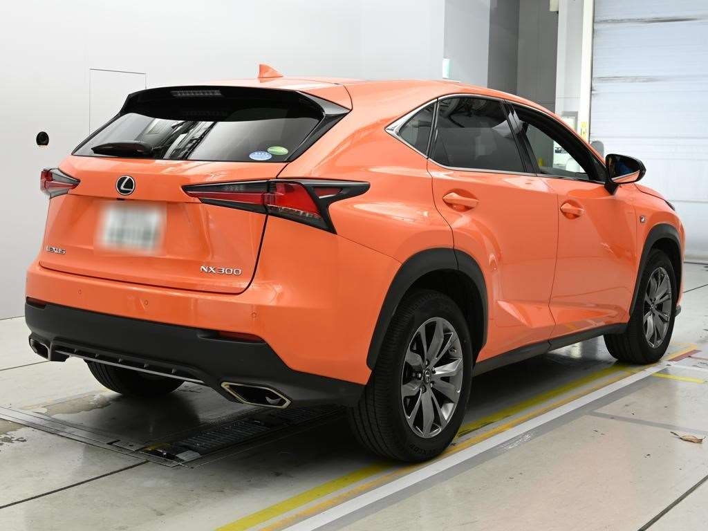 LEXUS NX300