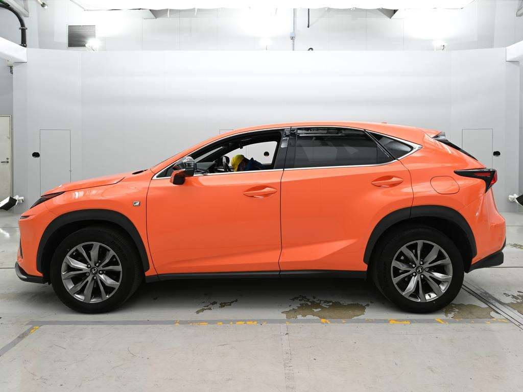 LEXUS NX300