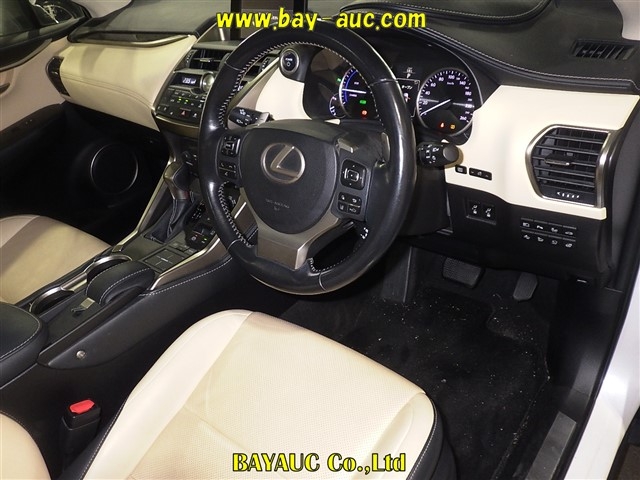 LEXUS NX300H