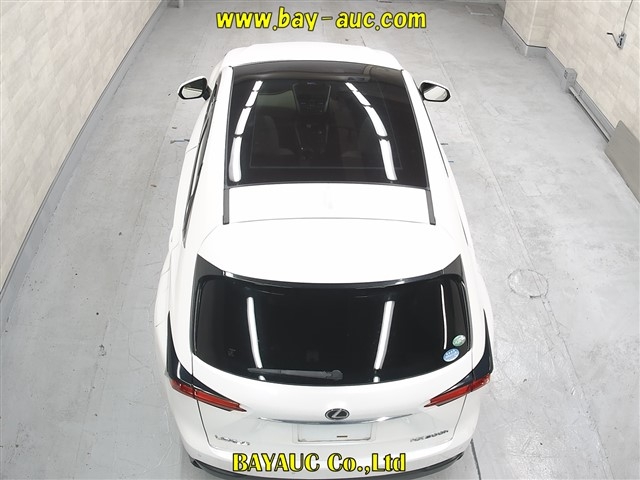 LEXUS NX300H