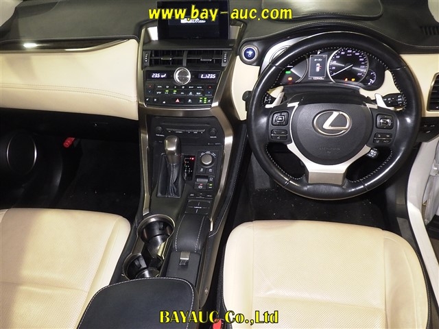 LEXUS NX300H