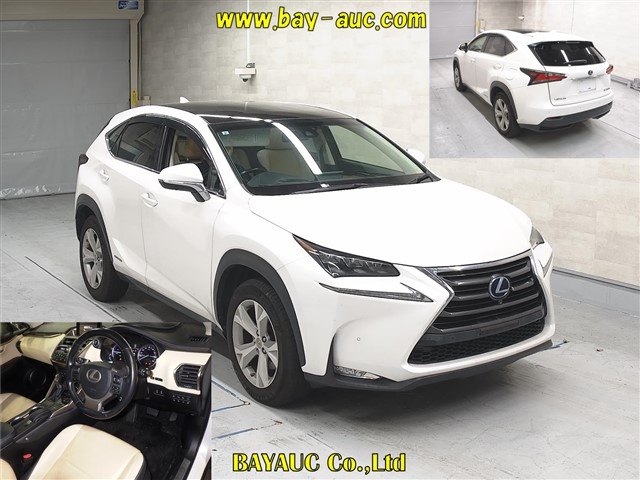 LEXUS NX300H