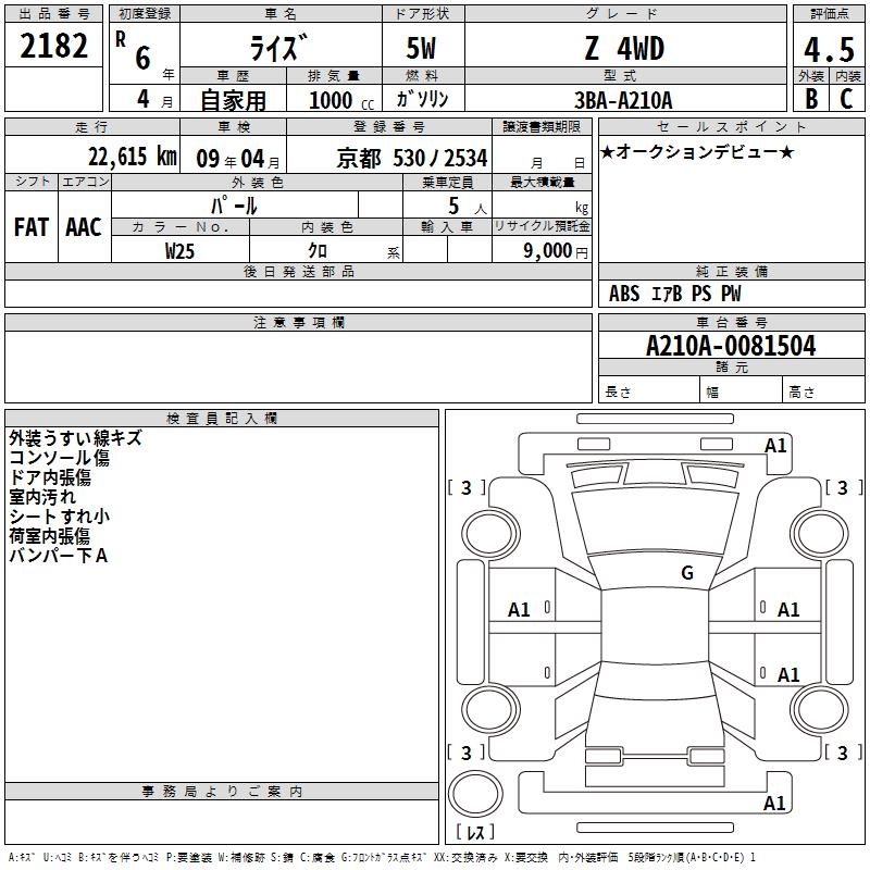 TOYOTA RAIZE