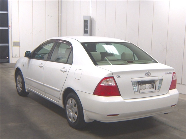 TOYOTA COROLLA