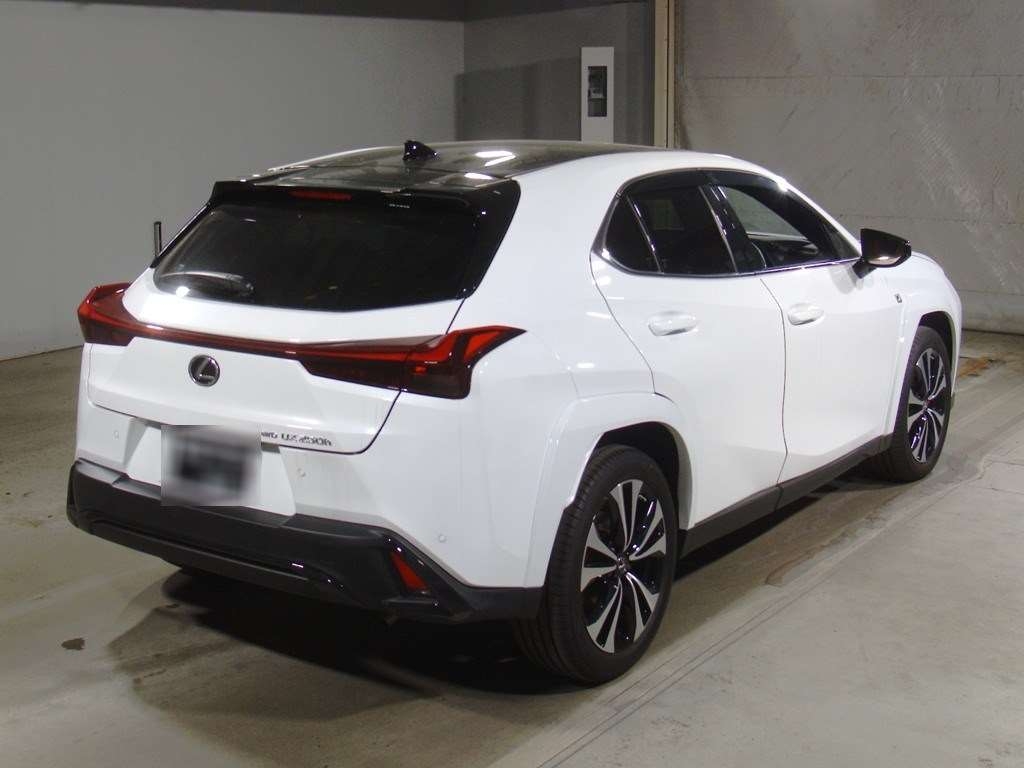 LEXUS UX250H