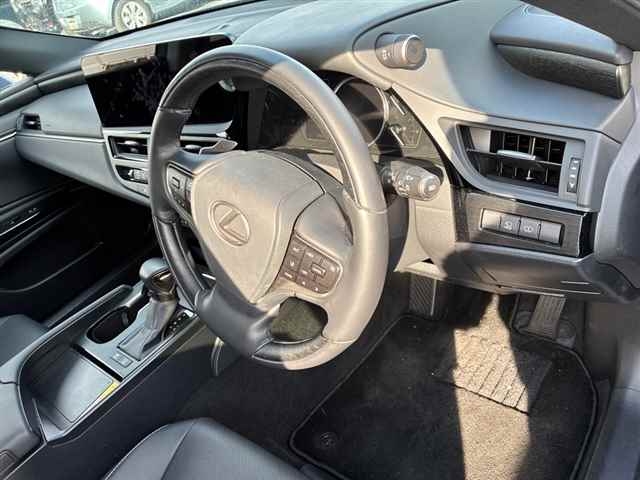 LEXUS ES300H