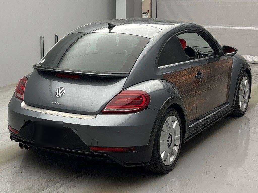 VOLKSWAGEN BEETLE