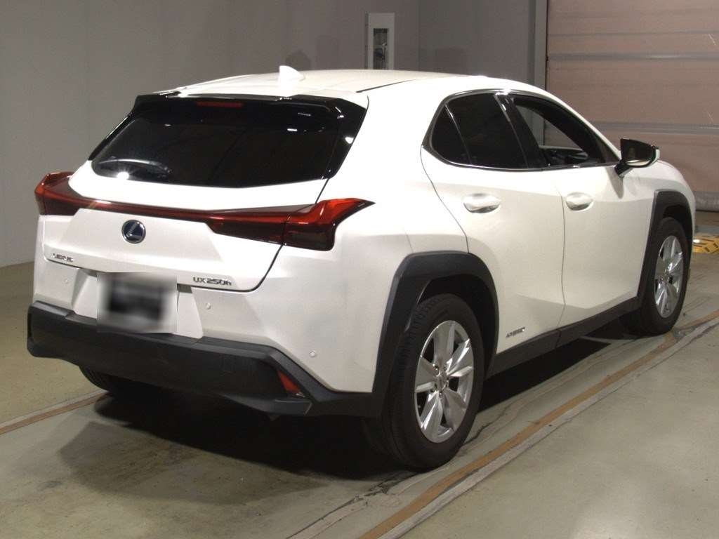 LEXUS UX250H