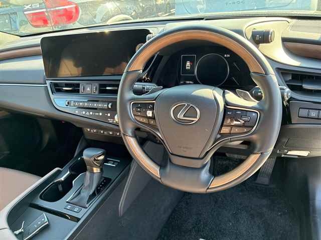 LEXUS ES300H