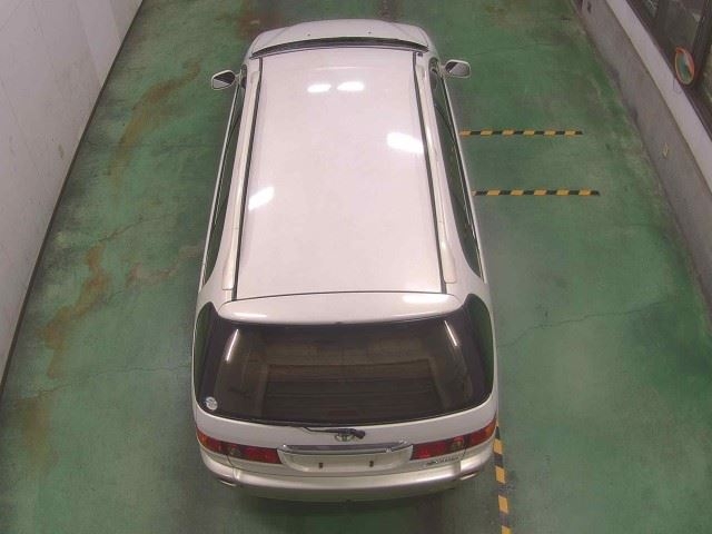 TOYOTA IPSUM