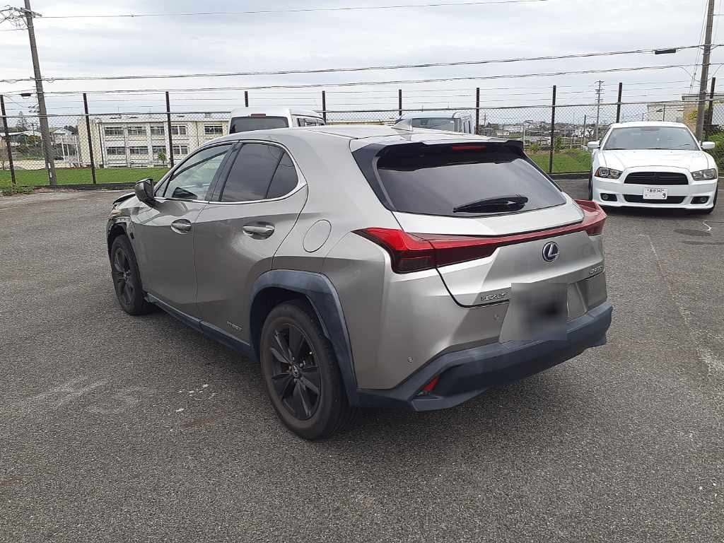 LEXUS UX250H