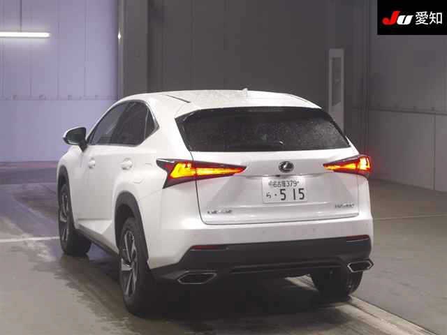 LEXUS NX300
