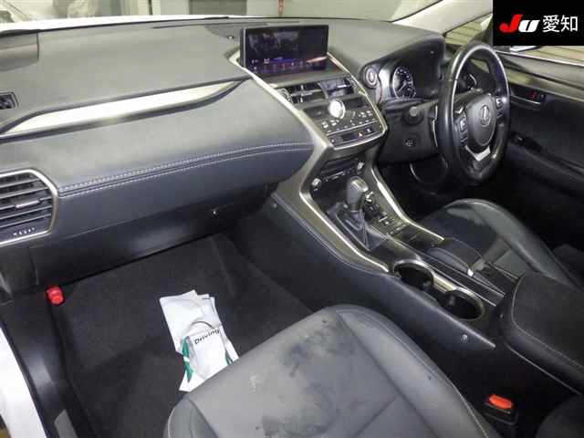 LEXUS NX300