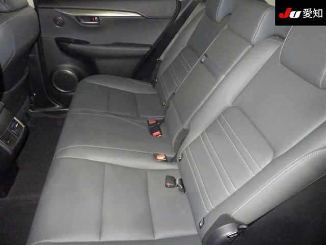 LEXUS NX300