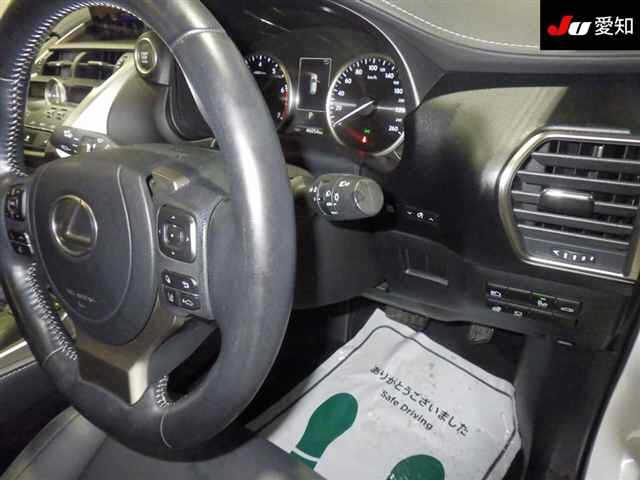LEXUS NX300