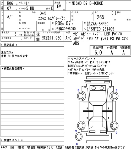 NISSAN ARIYA