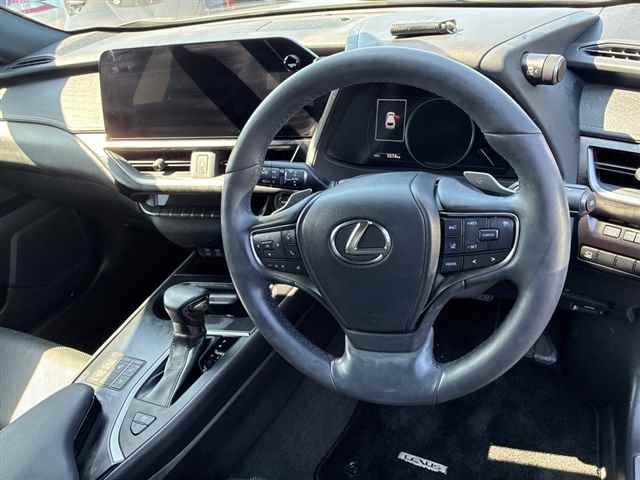 LEXUS UX250H