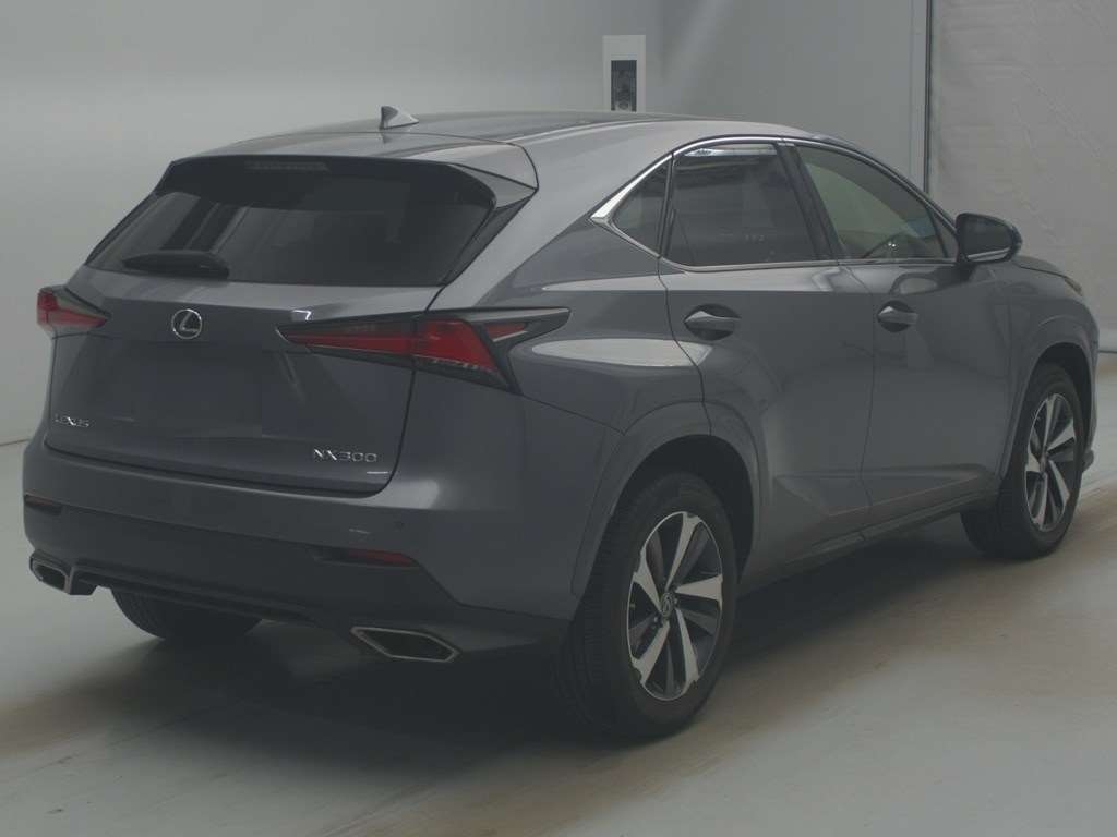 LEXUS NX300