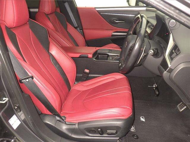 LEXUS ES300H