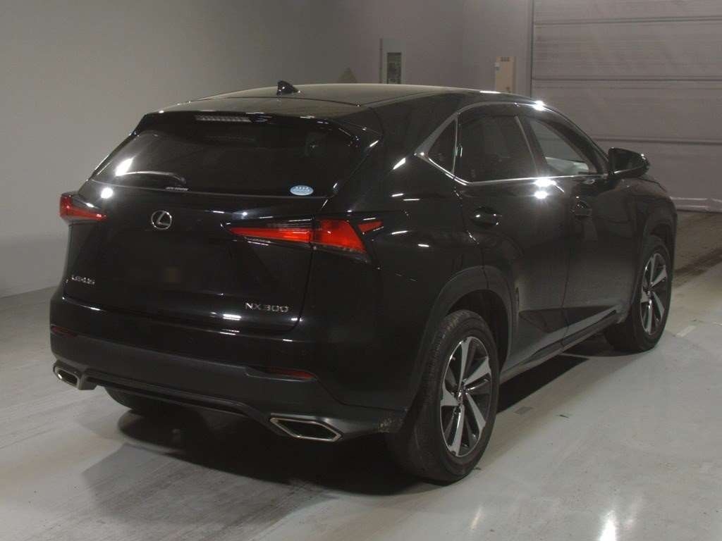 LEXUS NX300