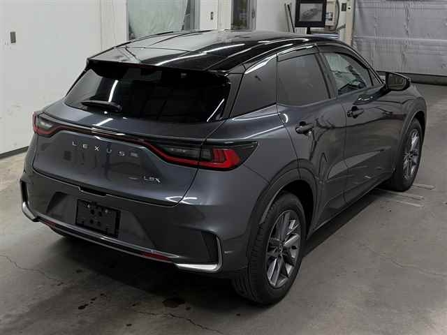 LEXUS LBX
