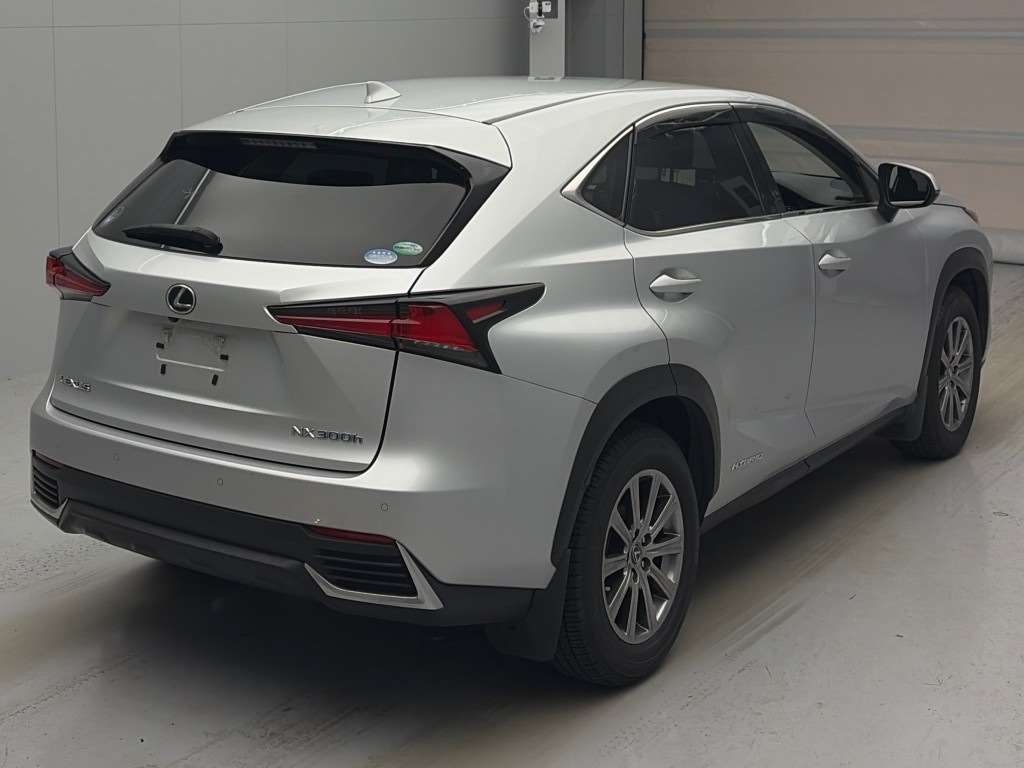 LEXUS NX300