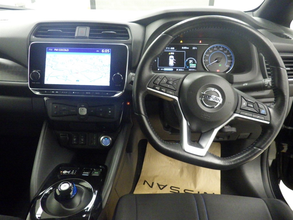 NISSAN LEAF