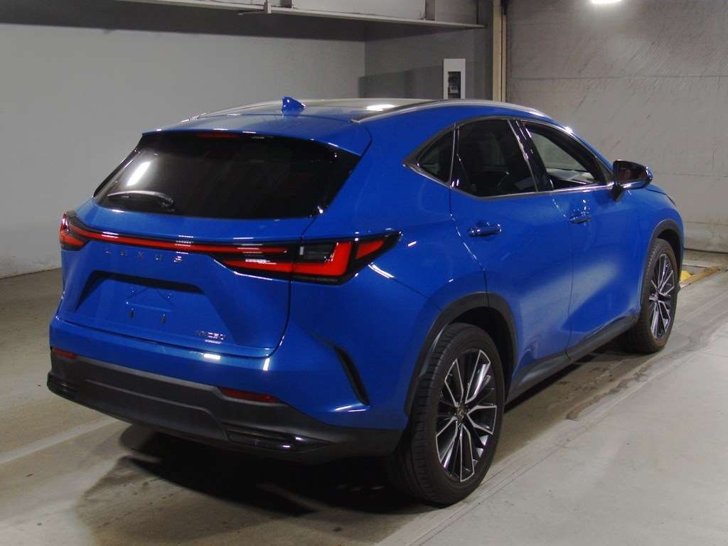 LEXUS NX250