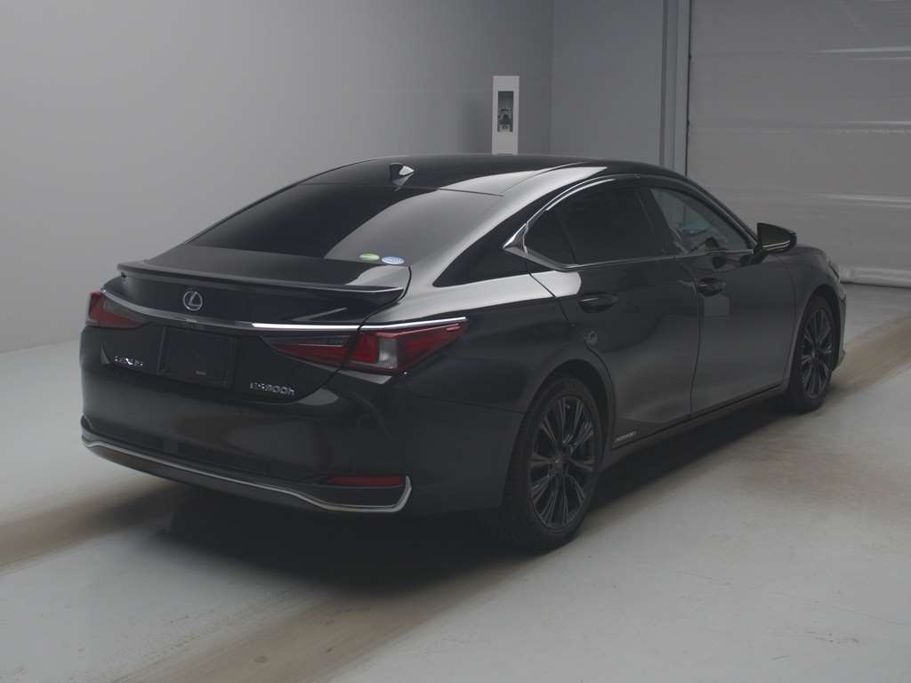 LEXUS ES300H