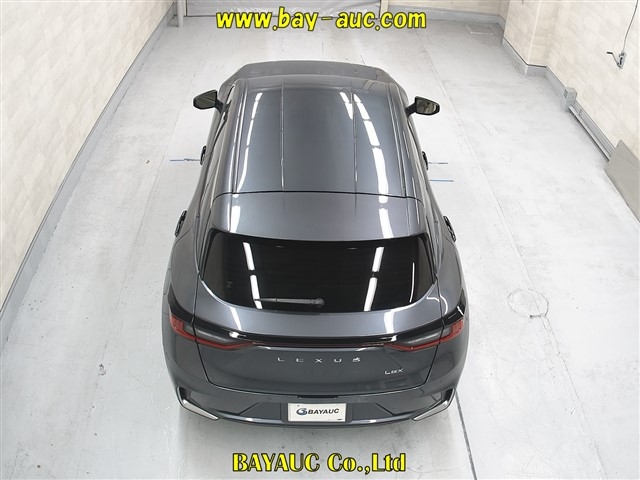 LEXUS LBX