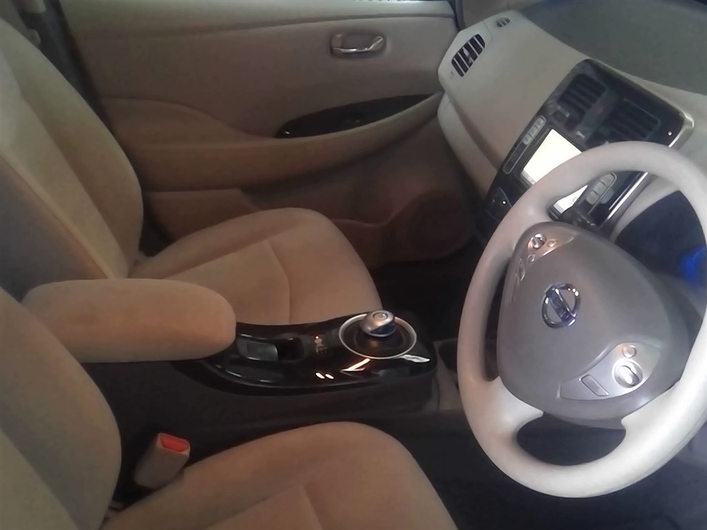 NISSAN LEAF