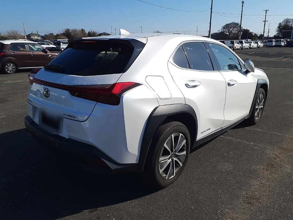 LEXUS UX300E