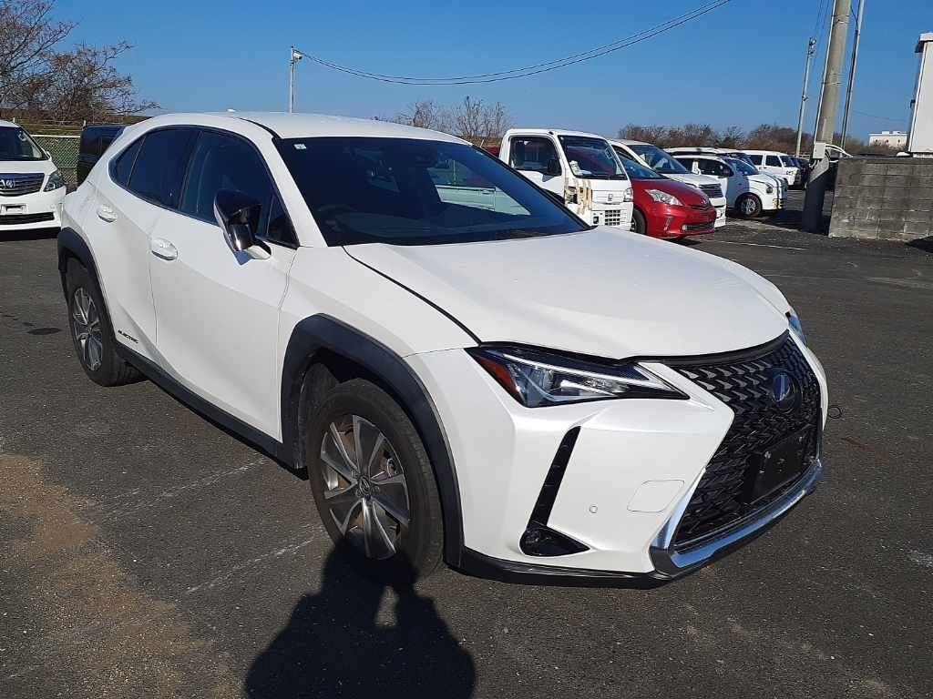 LEXUS UX300E
