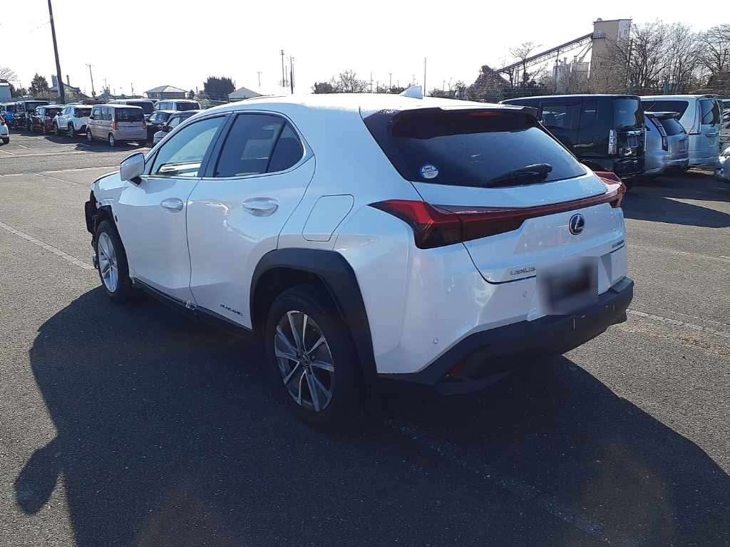 LEXUS UX300E