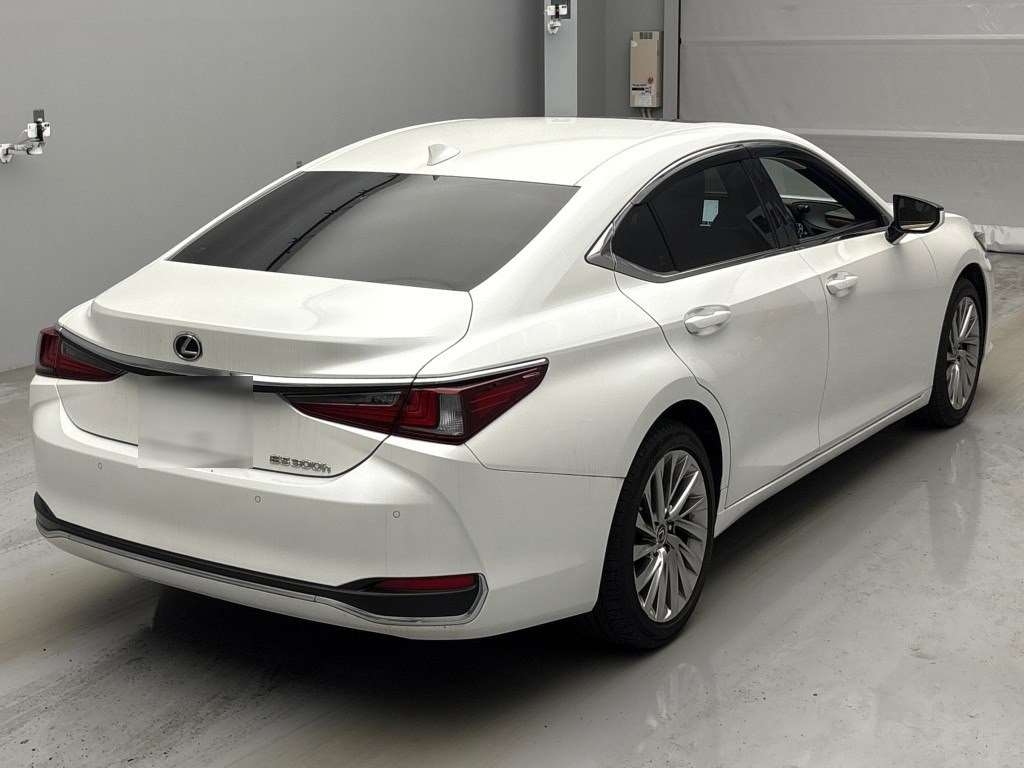 LEXUS ES300H