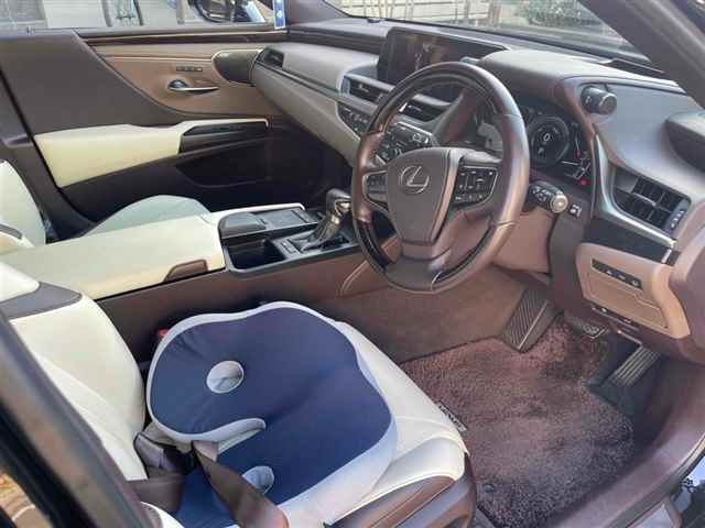 LEXUS ES300H