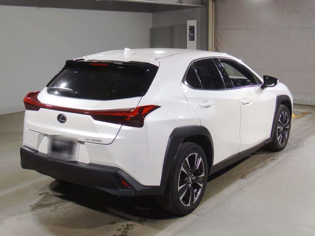 LEXUS UX250H