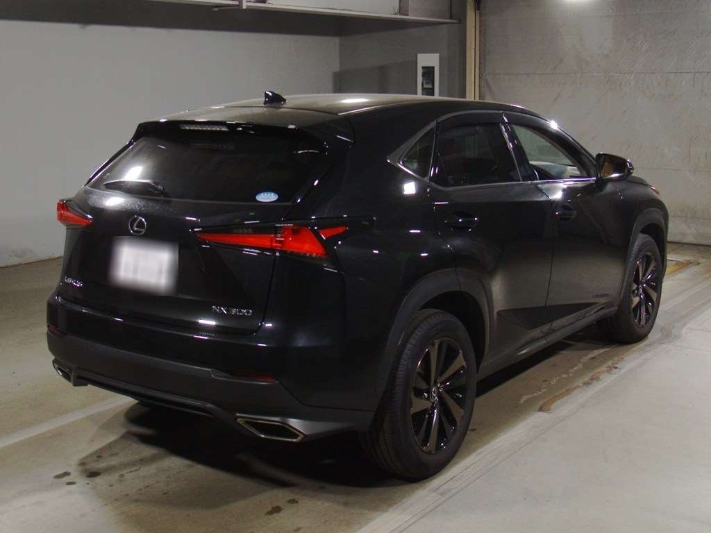 LEXUS NX300