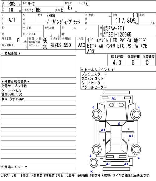 NISSAN LEAF