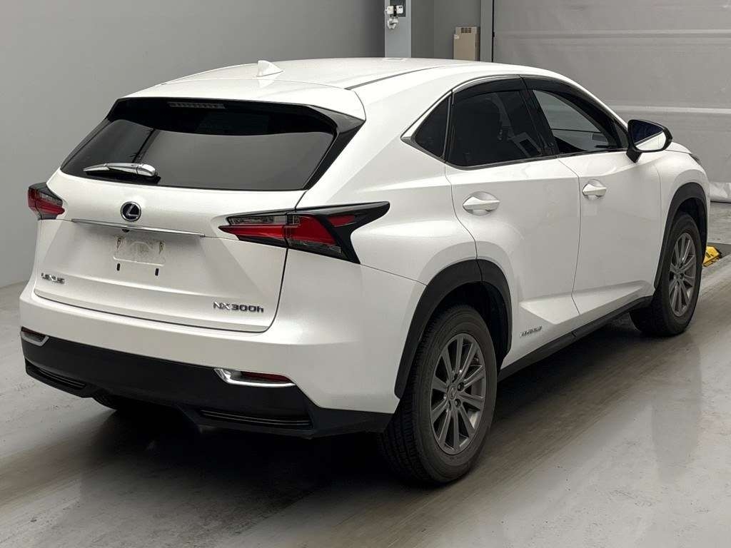 LEXUS NX300H