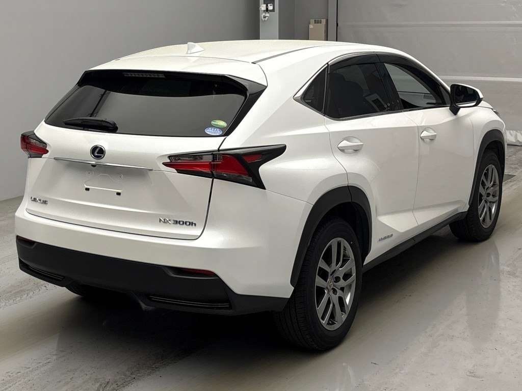 LEXUS NX300