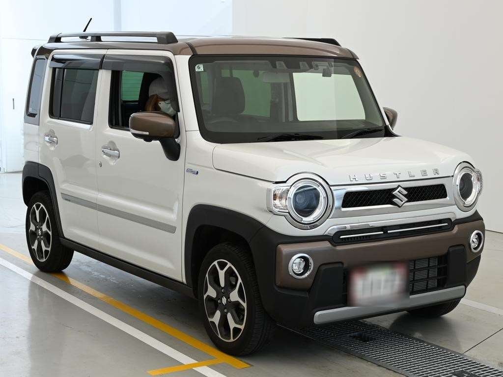 SUZUKI HUSTLER