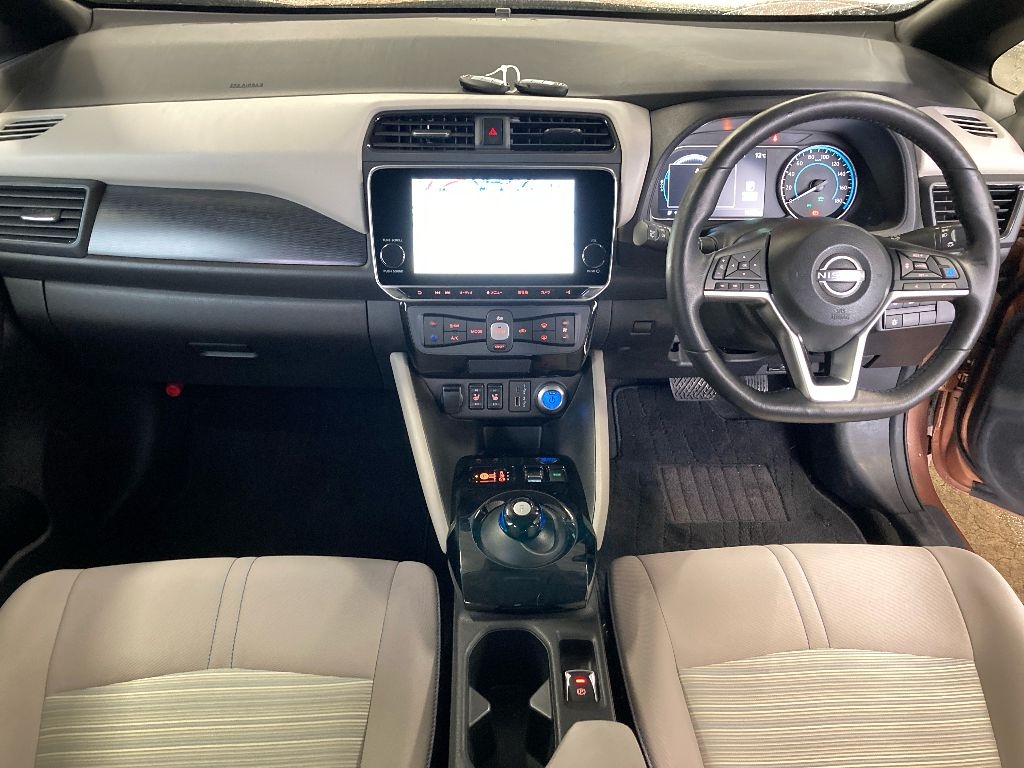 NISSAN LEAF