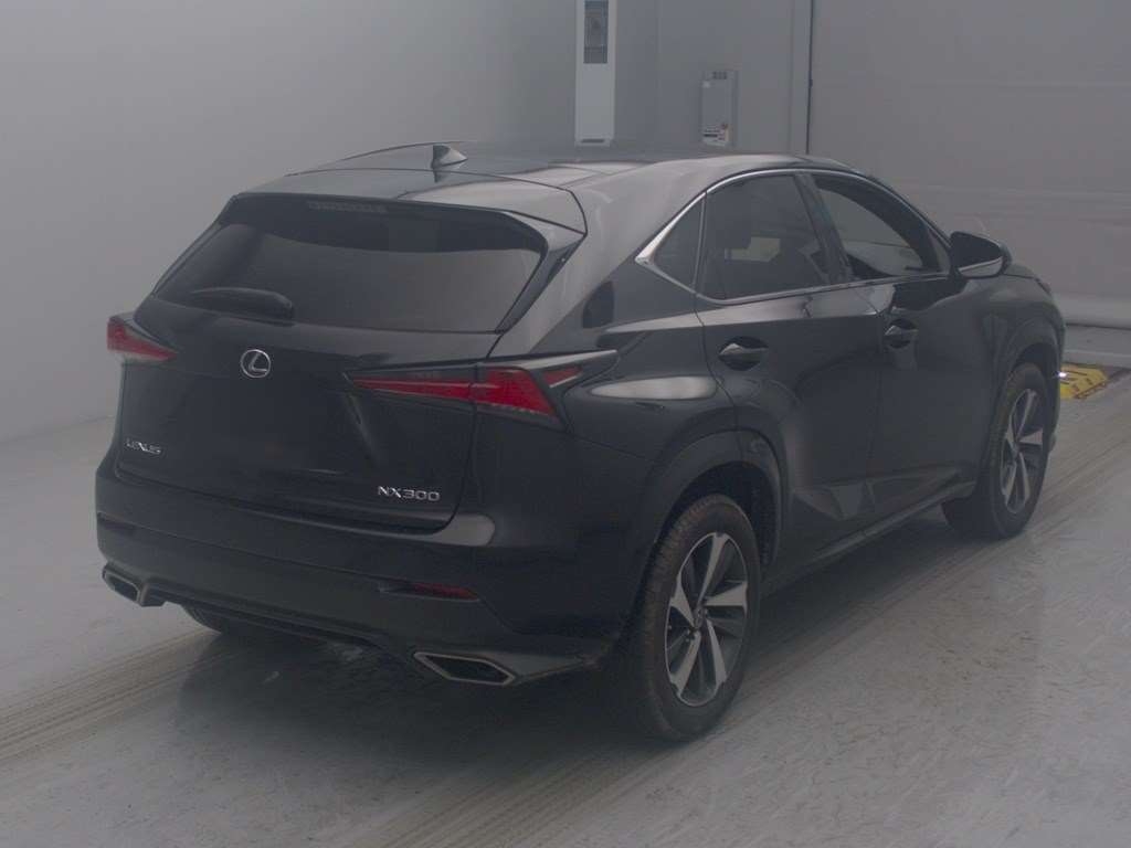 LEXUS NX300