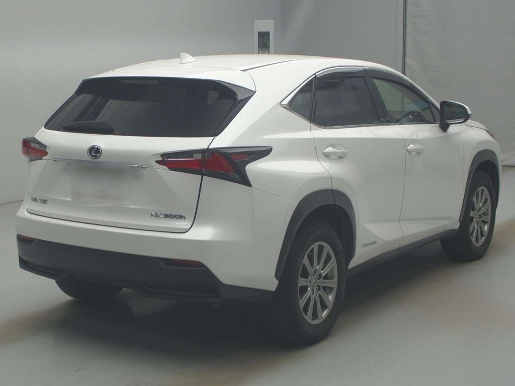 LEXUS NX300