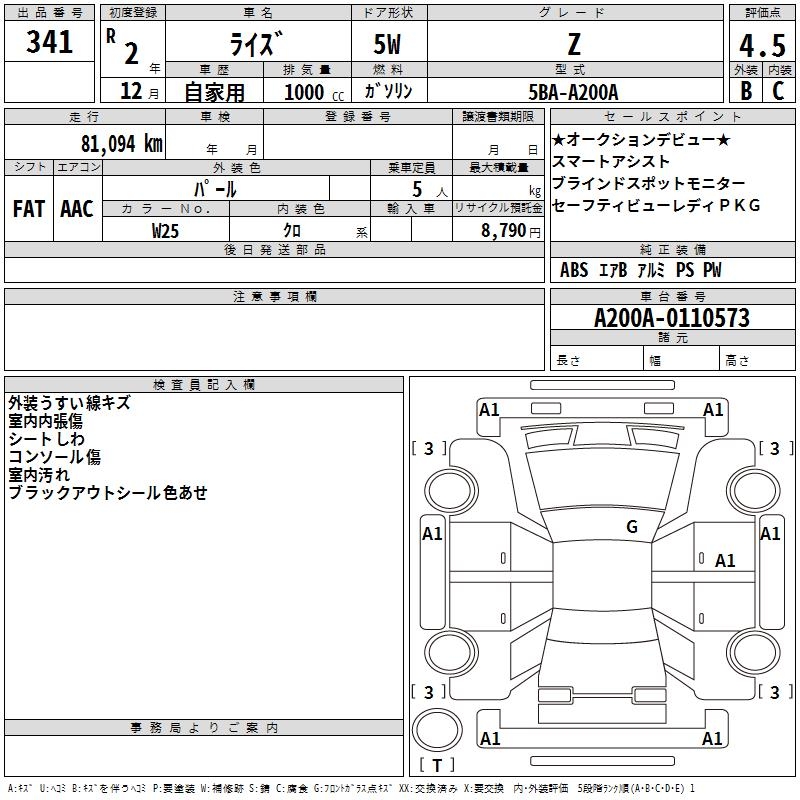 TOYOTA RAIZE