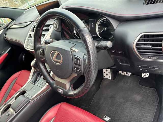 LEXUS NX300