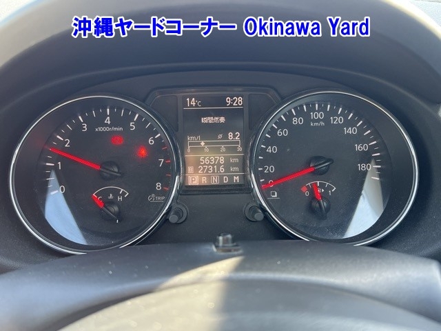 NISSAN DUALIS