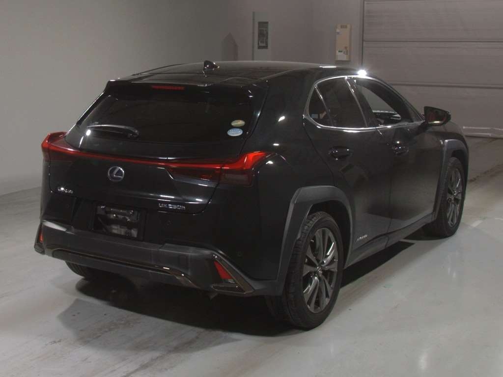 LEXUS UX250H