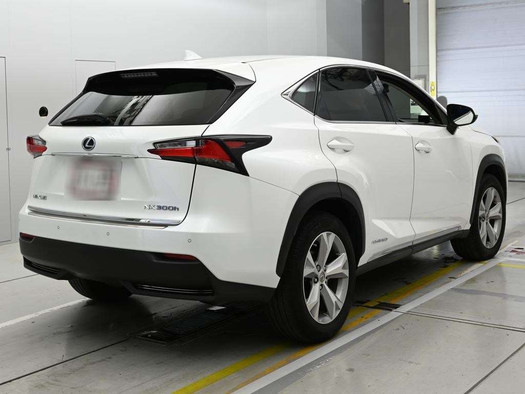 LEXUS NX300H